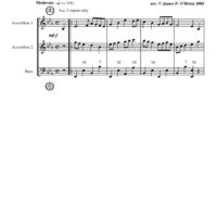 The Minstrel Boy Solo