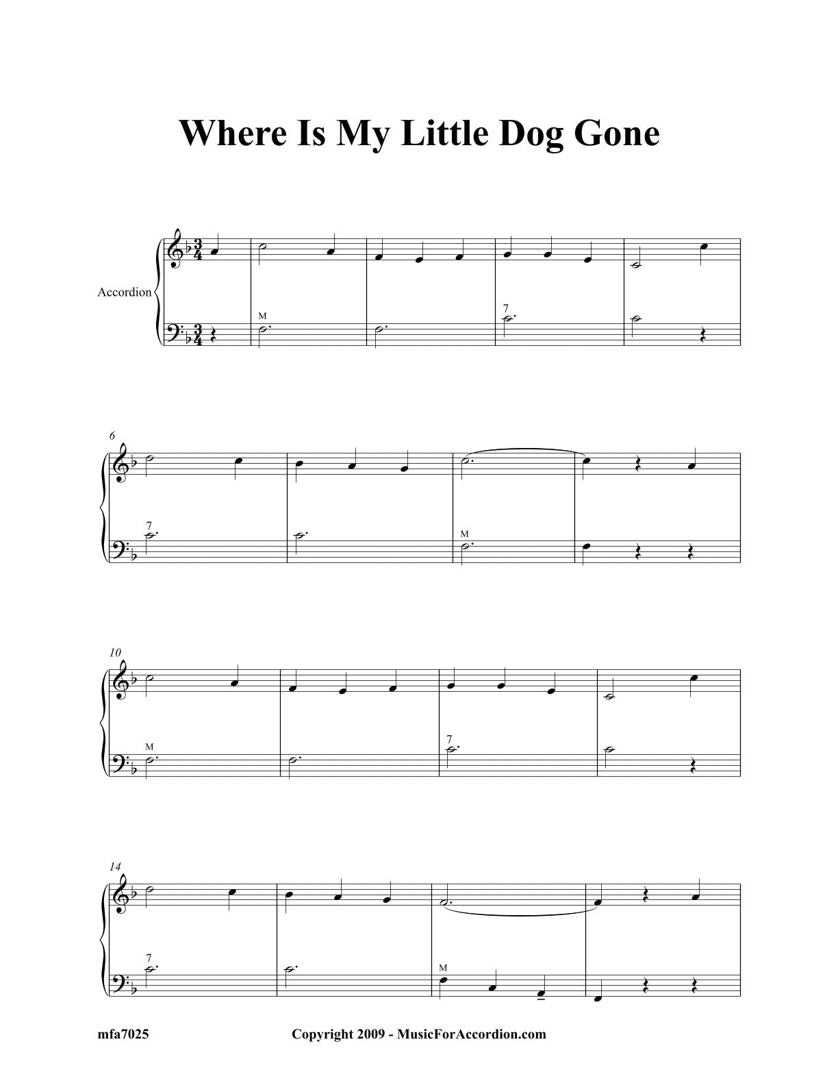 Where Is My Little Dog Gone