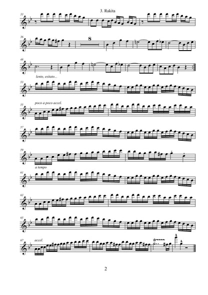 3 Balkan Dances ( for Accordion & Recorder)