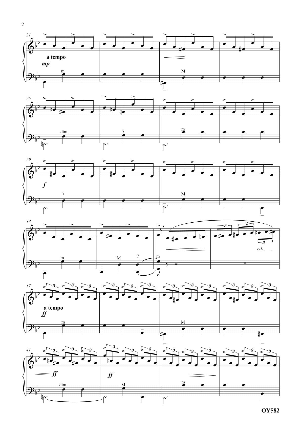 Accordion Mon Amour