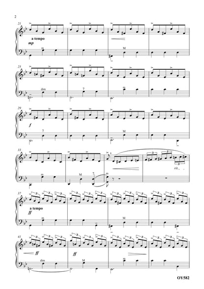 Accordion Mon Amour