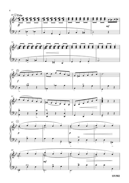 Accordion Mon Amour