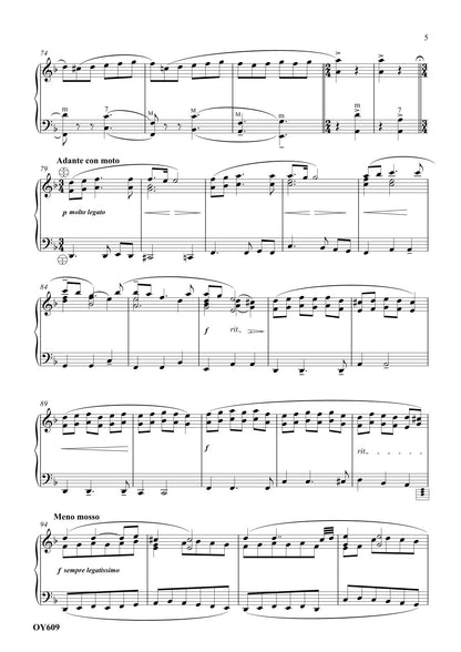 Ciaccona Variazioni