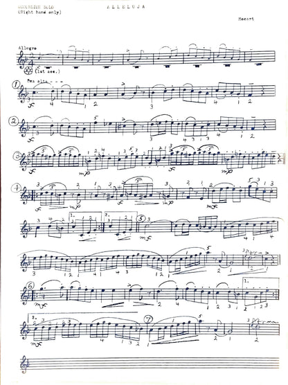 Alleluja from Exsultate, Jubilate - accordion solo with ensemble