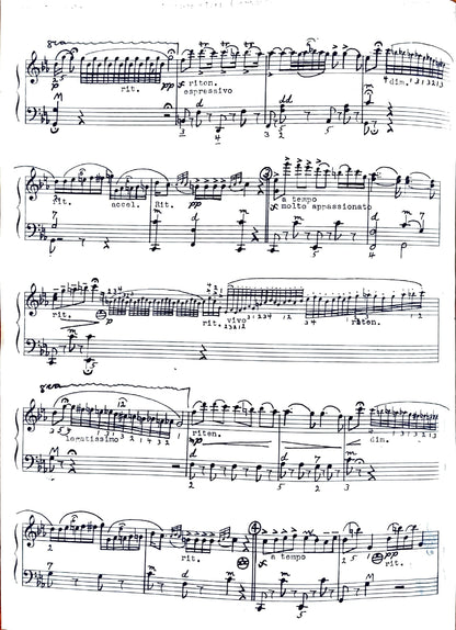 Zigeunerweisen (Gypsy Airs)