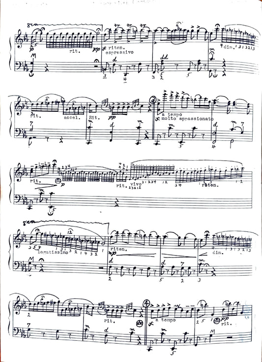 Zigeunerweisen (Gypsy Airs)