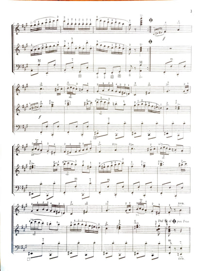 Polka Italiana for Two Accordions