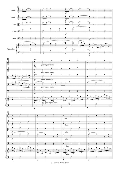 Concert Waltz (for Solo Accordion and Strings)