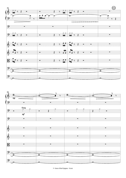 Gem of the Kaipara (for solo accordion, strings and percussion)