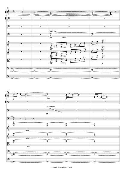 Gem of the Kaipara (for solo accordion, strings and percussion)