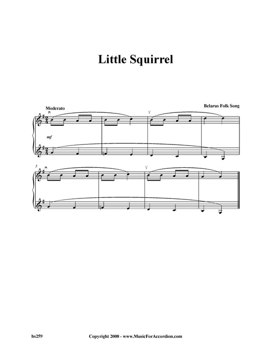 Little Squirrel