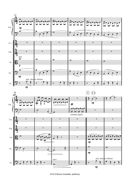 Il Bosco Incantato (for free bass accordion, and string orchestra)